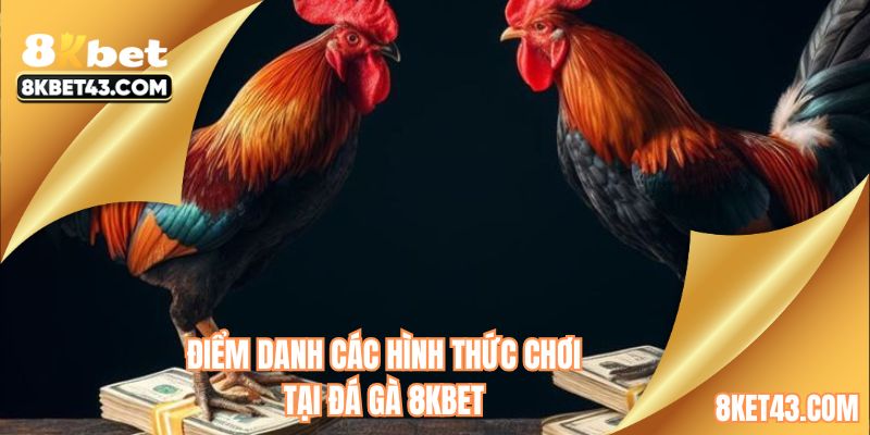 Khám phá các hình thức chơi hot tại đá gà 8KBET