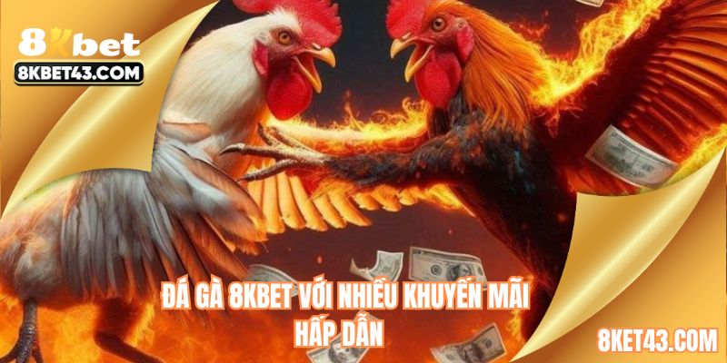 Tham gia đá gà 8KBET để nhận ưu đãi
