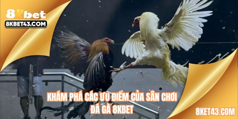 Khám phá các ưu điểm đá gà 8KBET sở hữu
