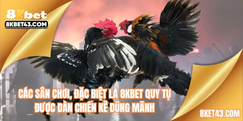 Các sân chơi, đặc biệt là 8KBET quy tụ được dàn chiến kê dũng mãnh