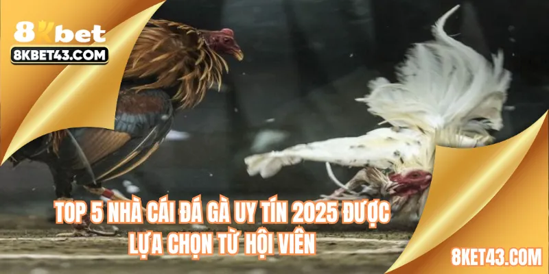 Top 5 nhà cái đá gà uy tín 2025 được lựa chọn từ hội viên