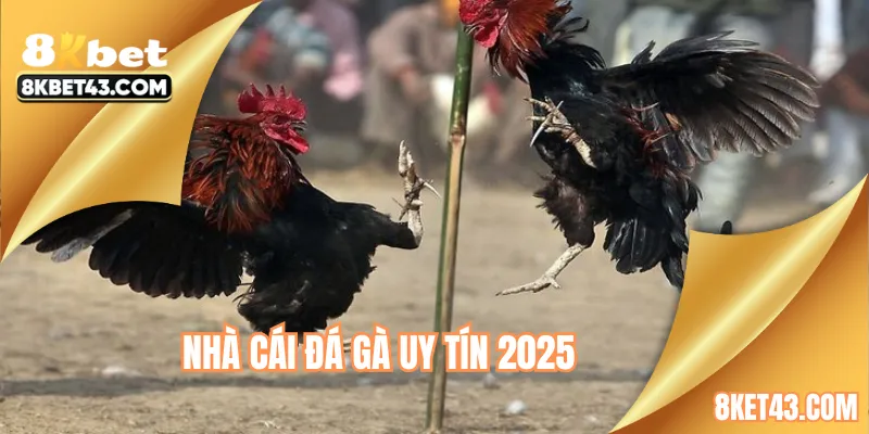 nhà cái đá gà uy tín 2025