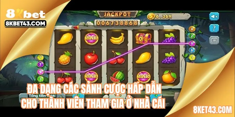 Đa dạng các sảnh cược hấp dẫn cho thành viên tham gia ở nhà cái