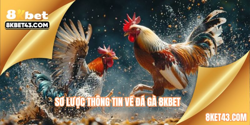 Một số thông tin sơ lược về đá gà 8KBET
